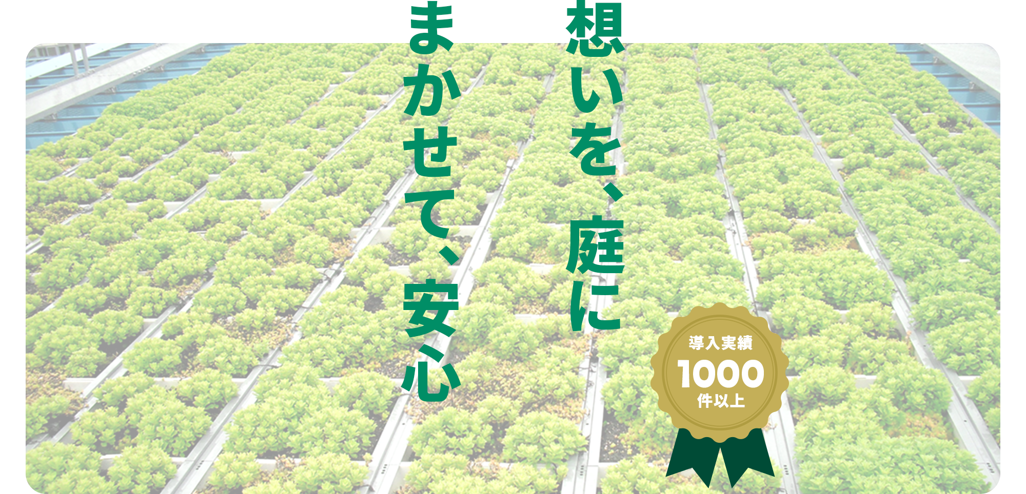 想いを、庭にまかせて、安心