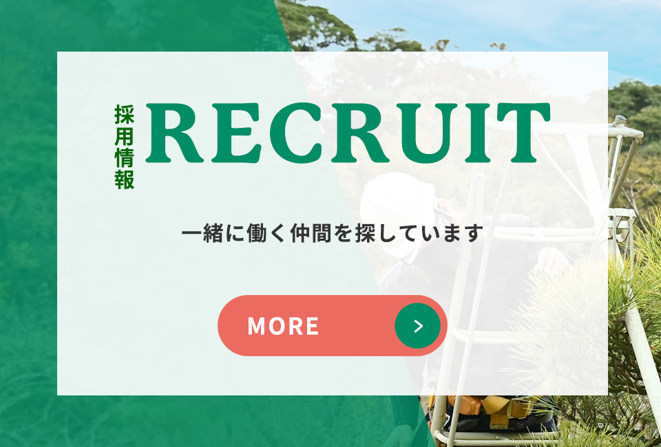 採用情報