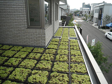 施工事例