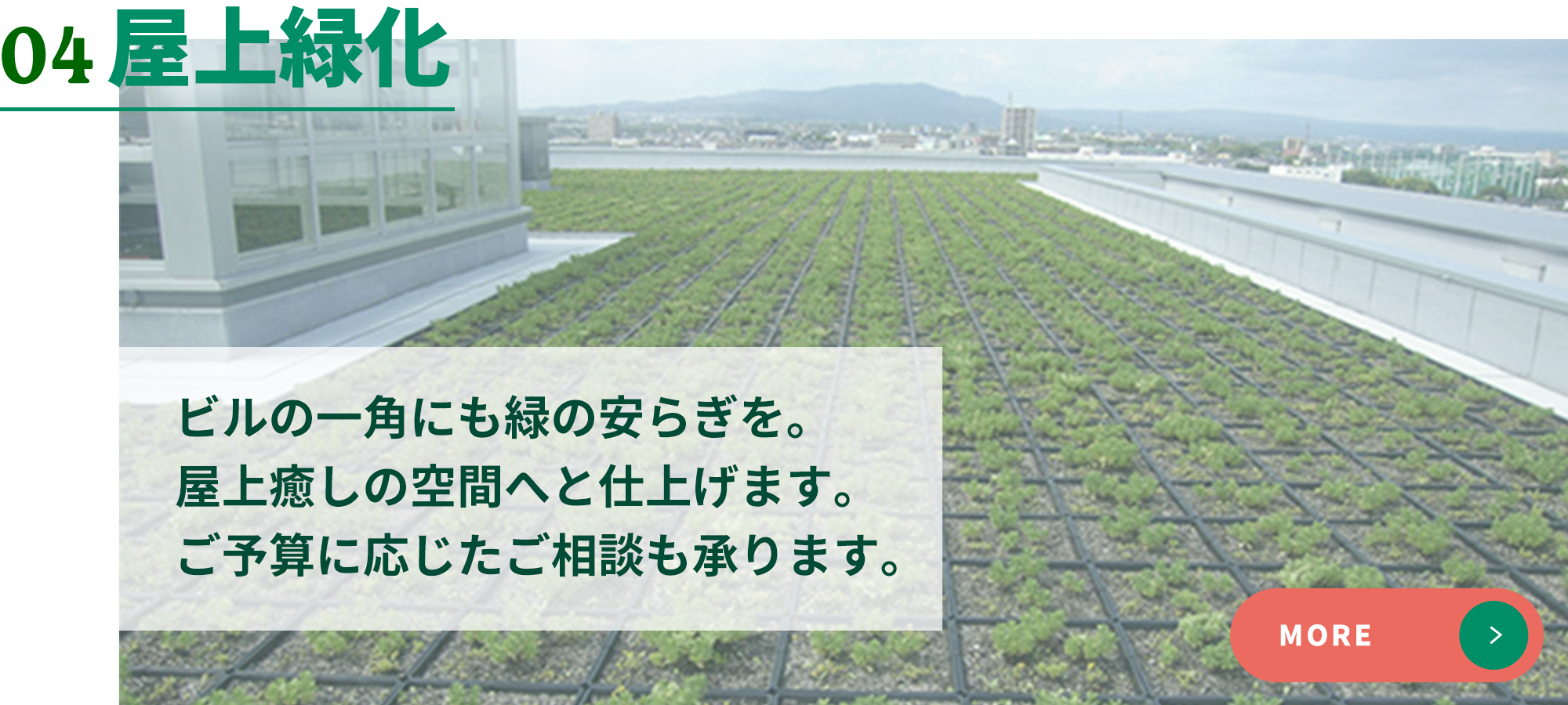 04屋上緑化