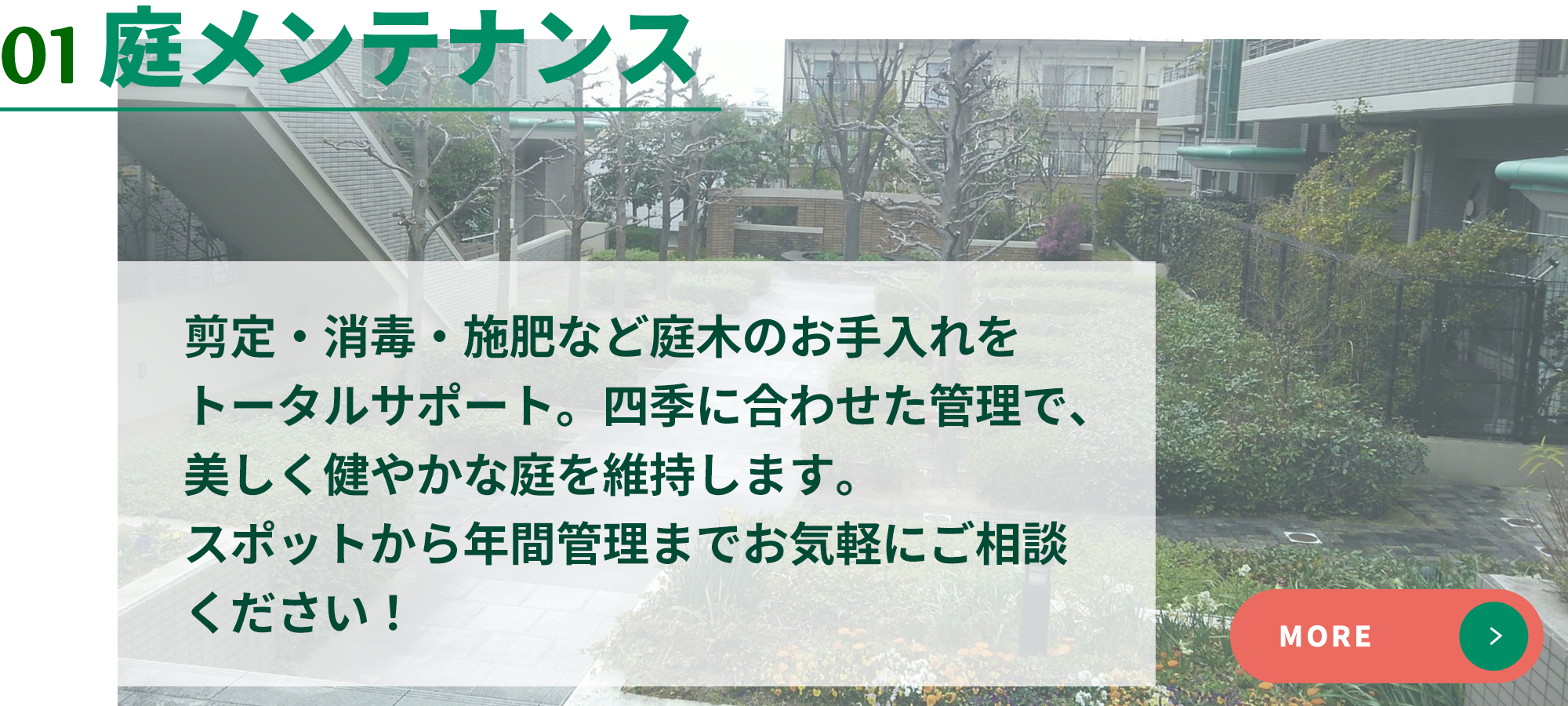 01庭メンテナンス