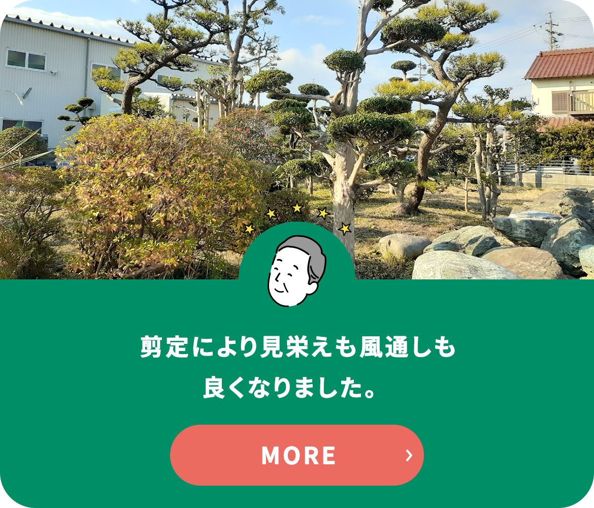 お客さまの声